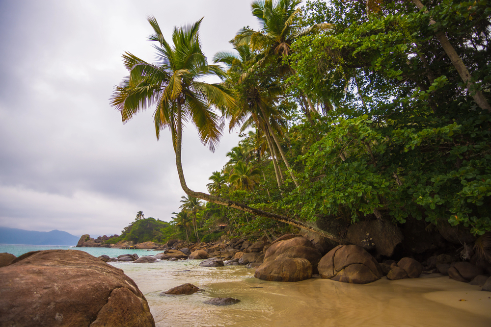 일하 그란데에서 transfers